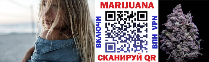 Конопля планчик  Каменногорск 